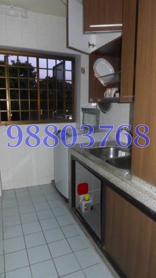 Blk 257 Serangoon Central Drive (Serangoon), HDB 4 Rooms #170164472